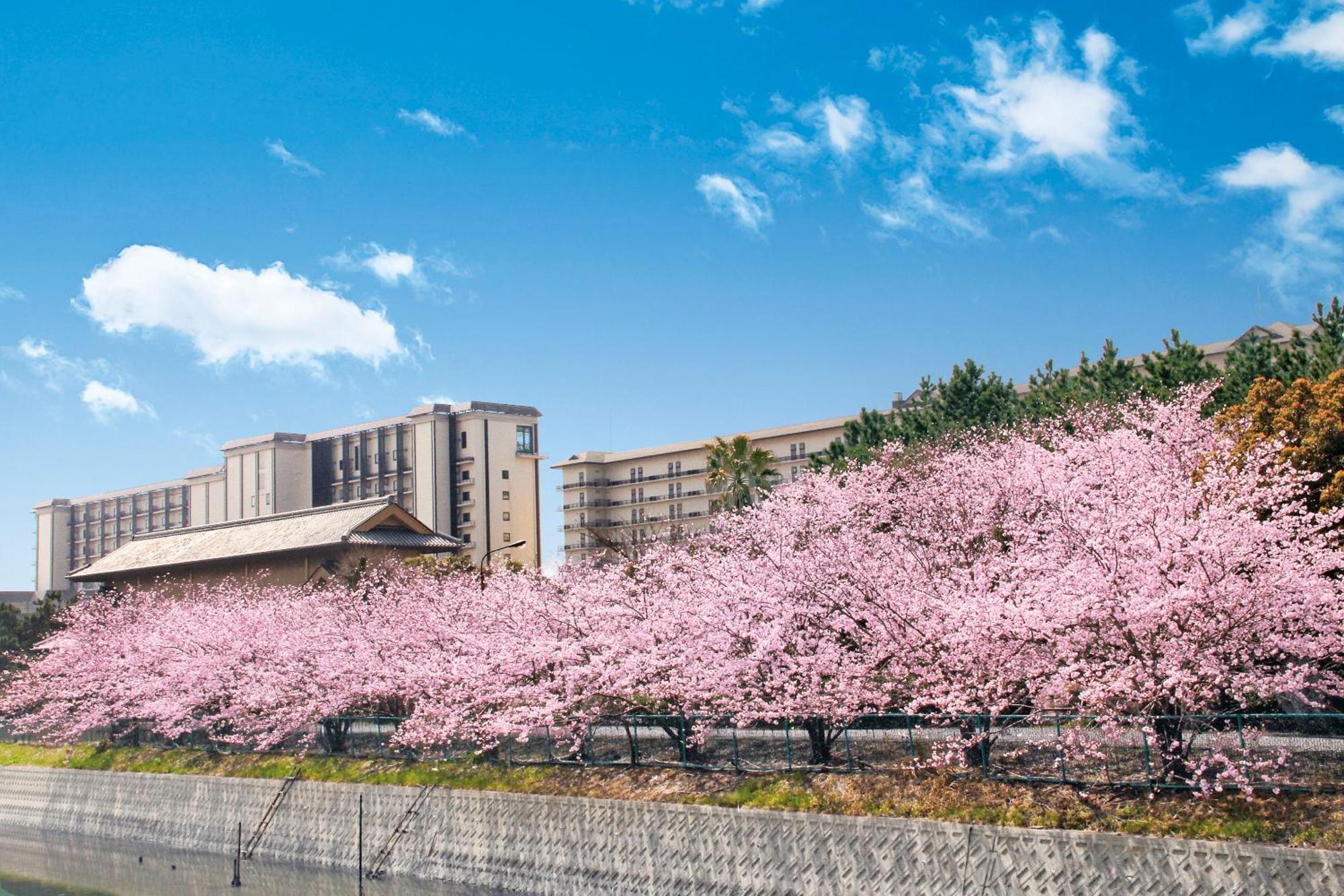 Ryugujo Spa Hotel Mikazuki Fujimitei Kisarazu Luaran gambar